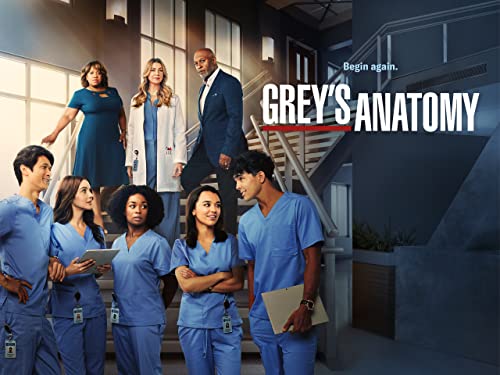 Grey's Anatomy - Staffel 19