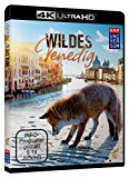 Wildes Venedig (4K Ultra HD) [Blu-ray]