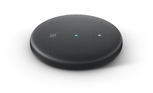 Amazon Echo Input
