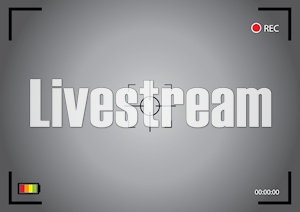 live stream