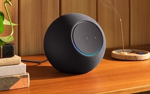 amazon echo dot max echo show